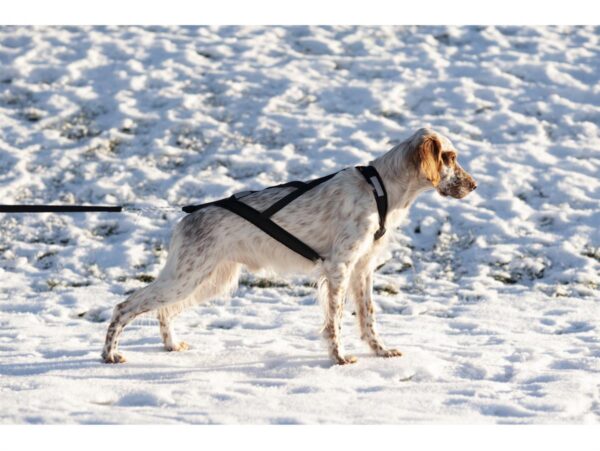 Yukon nomesele dobbel stolpe str. XL