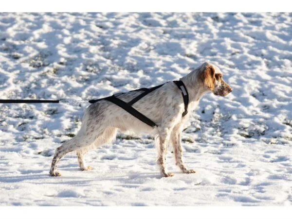 Yukon nomesele dobbel stolpe str. XL
