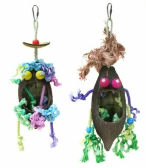 Beaks coco caribbean fugleleke