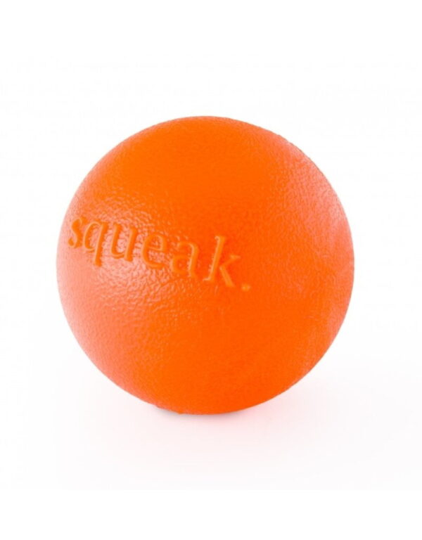 Planet Dog Squeak Ball Orange
