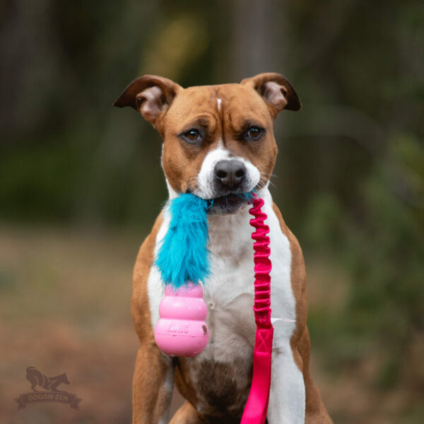 Doggie-Zen draleke fuskepels med Kong Puppy M med strikk
