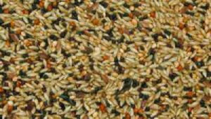 Bello kanariblanding 5 kg