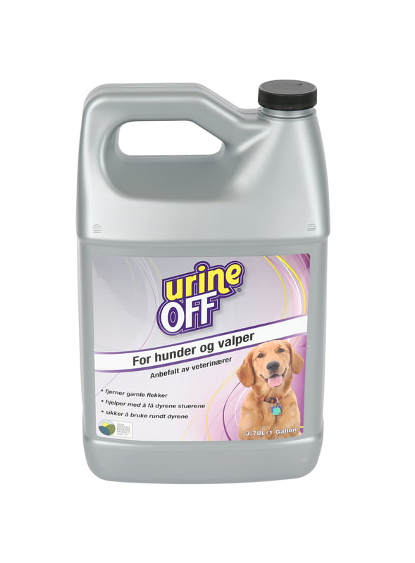 urine off hund