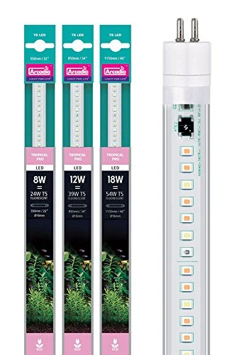 Arcadia Tropical pro T5 led 8W