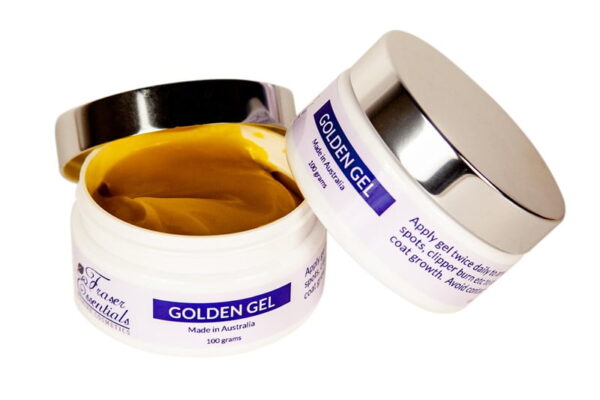 Fraser Golden Gel 100g