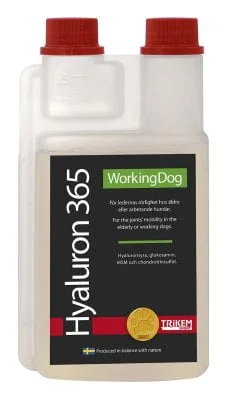 WorkingDog Hyaluron 365, 500 ml