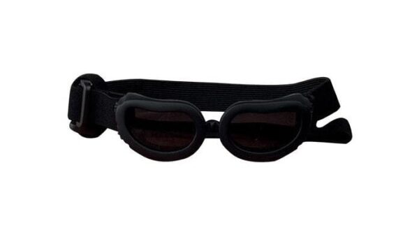Doggy Solbriller XS