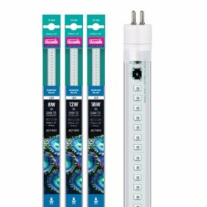 Arcadia Marine blue T5 led 8W