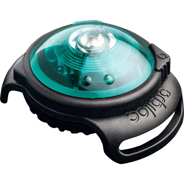 Orbiloc dog safety light turkis