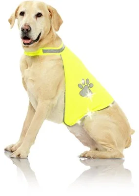 Pawise refleksvest small