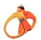 PetTime Air Mesh Sele Orange 12-16kg XL
