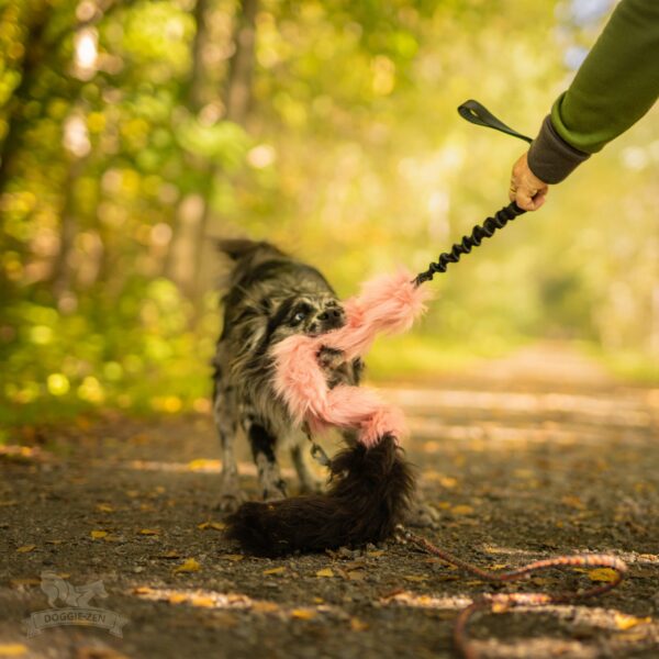 Doggie-Zen draleke med fuske- og sauepels og strikk