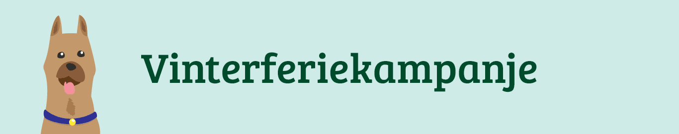 Vinterferiekampanje banner