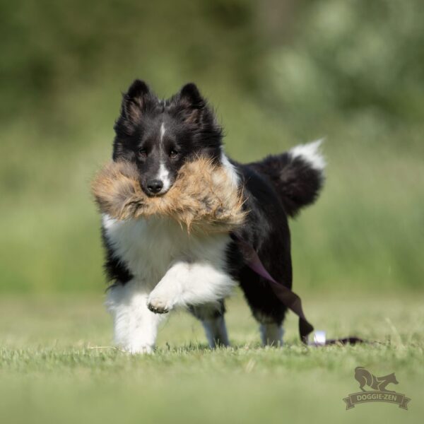 Doggie-Zen draleke revepels L