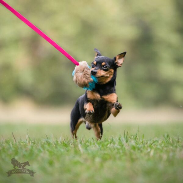 Doggie-Zen draleke kanin med pip S