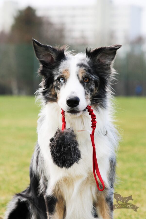 Doggie-Zen draleke kaninball m/strikk