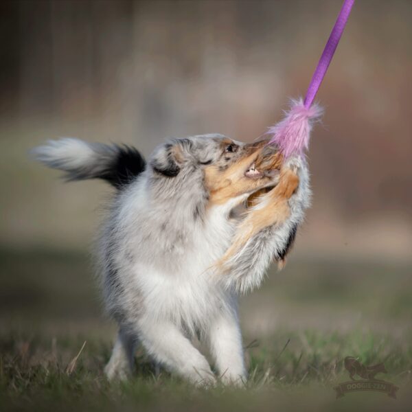 Doggie-Zen Blekksprut draleke revepels