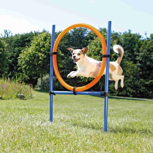 Agility ring blå/oransje 1,15mxø65cm