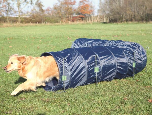 Agility Tunnel Mørk Blå ø60cm/5m