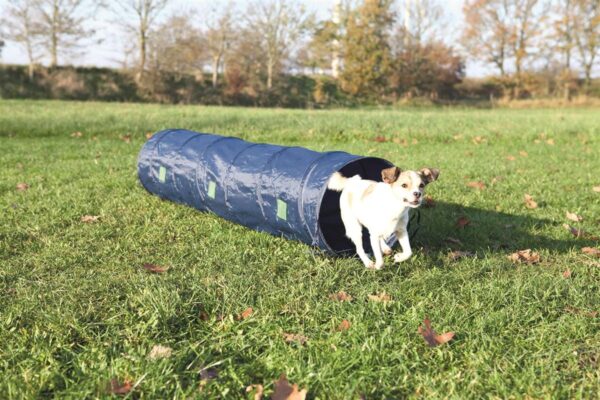Agility Tunnel Blå ø40cm/2m