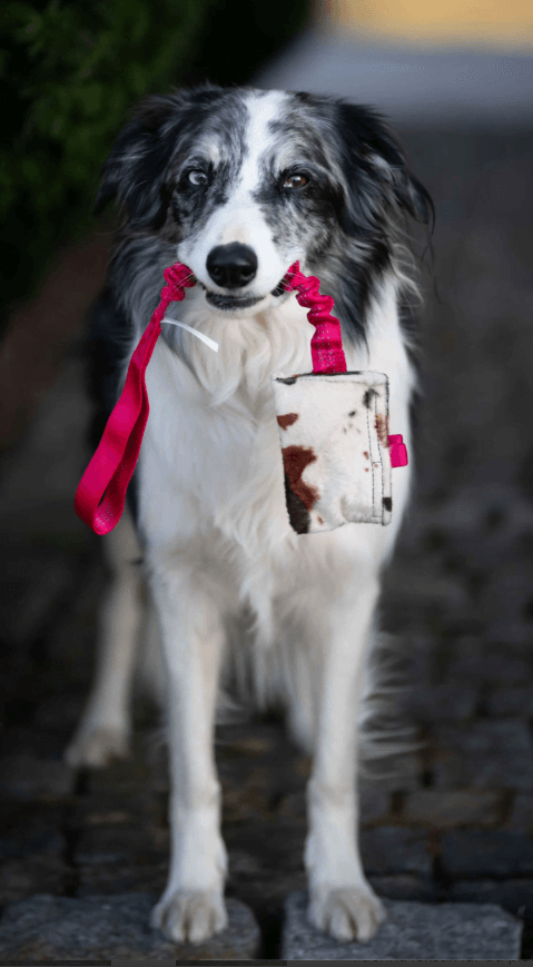 Doggie-Zen draleke prassel med lomme velboa L med strikk