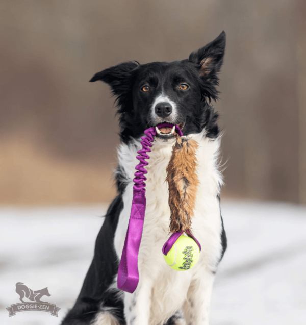 Doggie-Zen draleke med kaninpels KONG Air Tennisball M