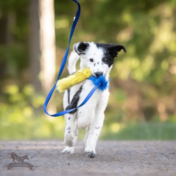 Doggie-Zen Blekksprut draleke med strikk kanin+saue+fuskepels