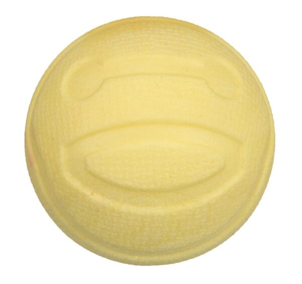 Hundeleke Ball i TPR Flyter ø6cm
