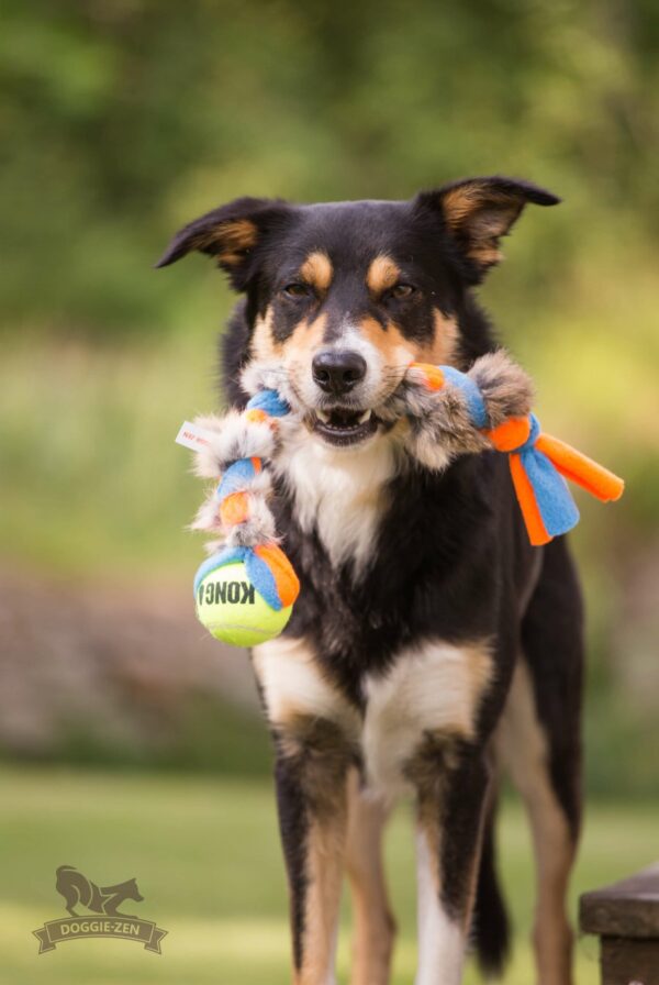 Doggie-Zen fleece- og kaninpelsflette med KONG Air pipeball M