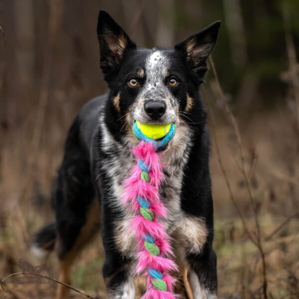 Doggie-Zen fleece- og fuskepelsflette med KONG Air pipeball M