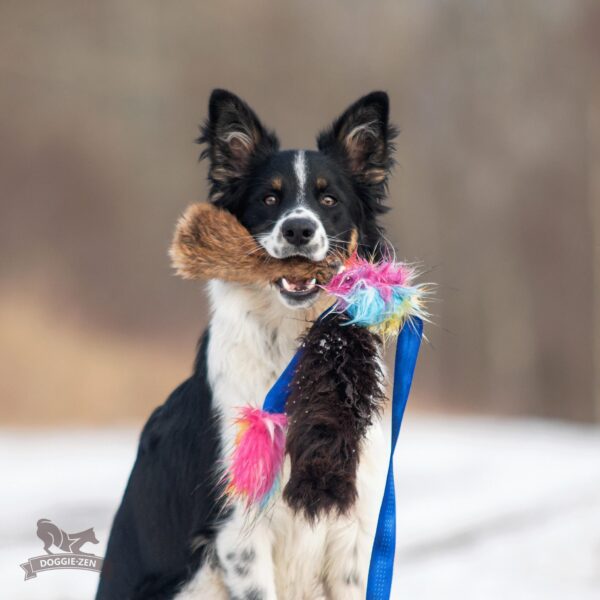 Doggie-Zen Blekksprut draleke blekksprut med pip+kanin+sauepels