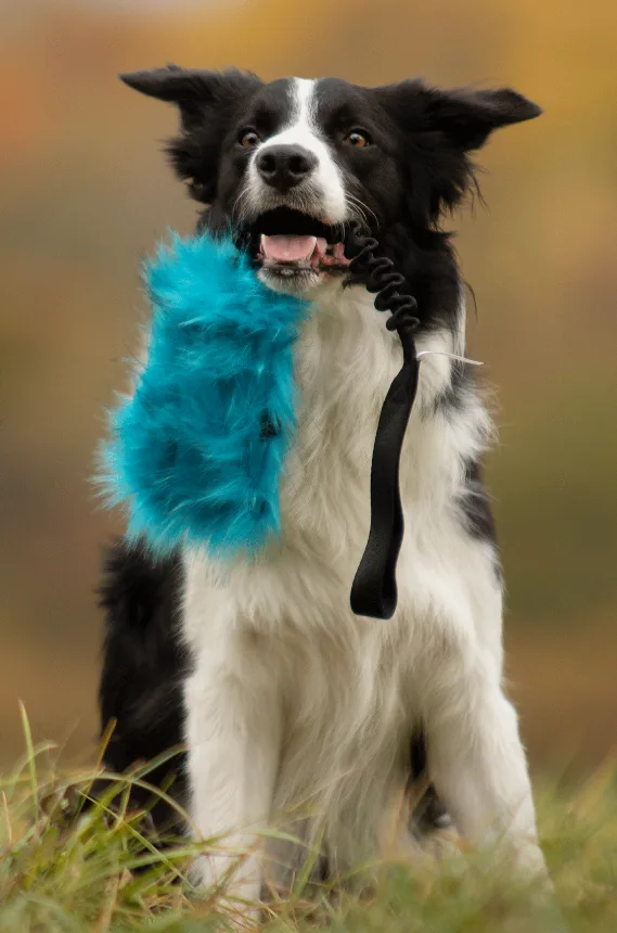 Doggie-Zen draleke prassel med lomme lyxpels L med strikk