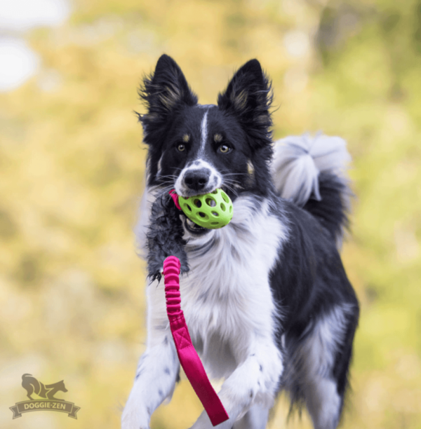 Doggie-Zen draleke med kaninpels Hol-ee Football M