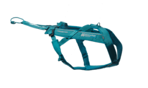 Non-Stop Dogwear Freemotion Harness 5.0 teal str. 3