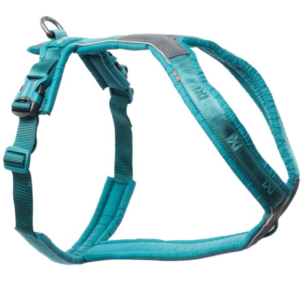 Non-Stop Dogwear Line Harness 5.0 teal str. 4