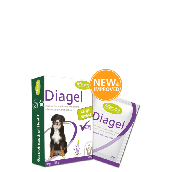 Diagel mot Diare til stor hund over 20kg 4x20g