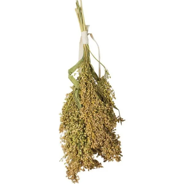 JR Farm Vipphirse 100g