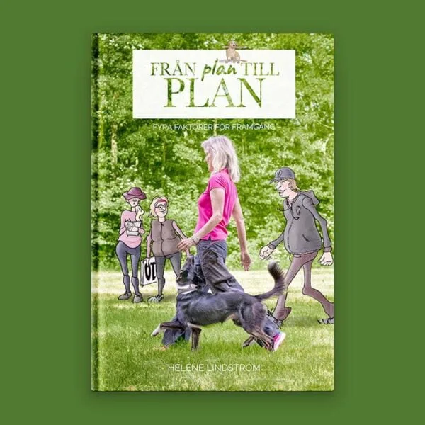 Bok Från plan TILL PLAN