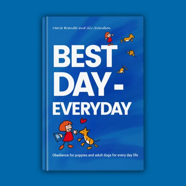 Bok Best Day - Everyday!