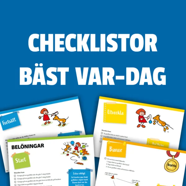 Bok Best Hver-Dag! Checklister