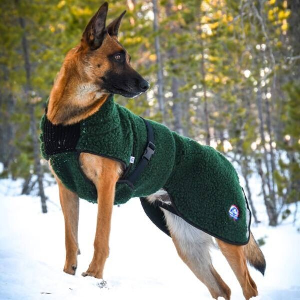 Canelana Selva ulldekken terrier M/L (48cm)