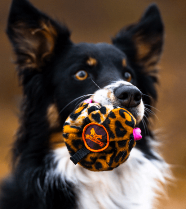 Doggie-Zen Treatball Velboa 9x8cm
