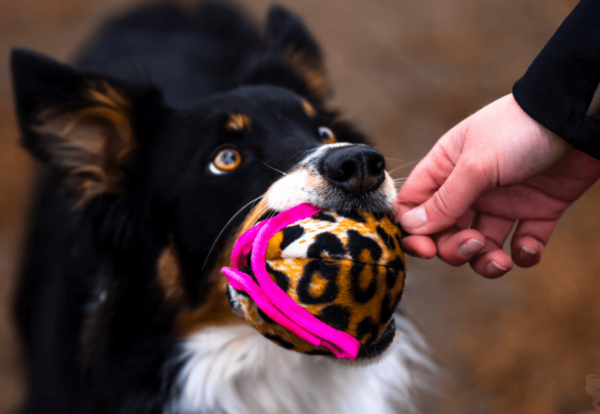 Doggie-Zen Treatball Kanin+velboa 9x8cm