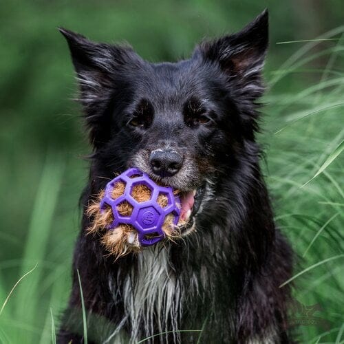 Doggie-Zen kaninpelspip til Hol-ee baller M