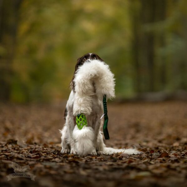 Doggie-Zen draleke Hol-ee Comet Chaser L med strikk & sauepels