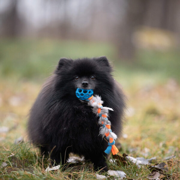 Doggie-Zen Fleece- og kaninpelsflette med Hol-ee Roller XS