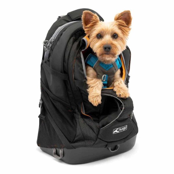 Kurgo Bæresekk G-train K9-Pack Black