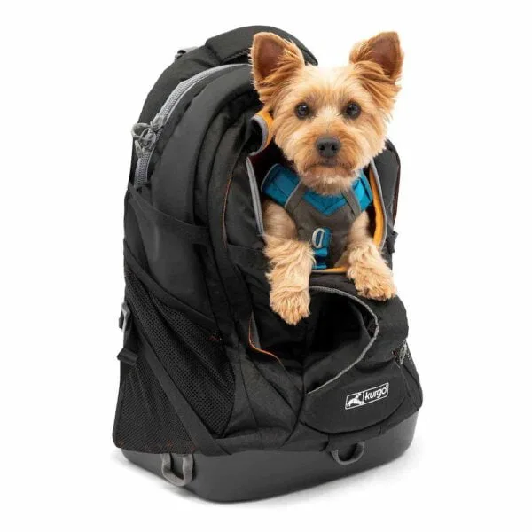 Kurgo Bæresekk G-train K9-Pack Black