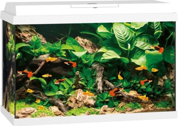 Juwel Primo akvarie hvit 70L