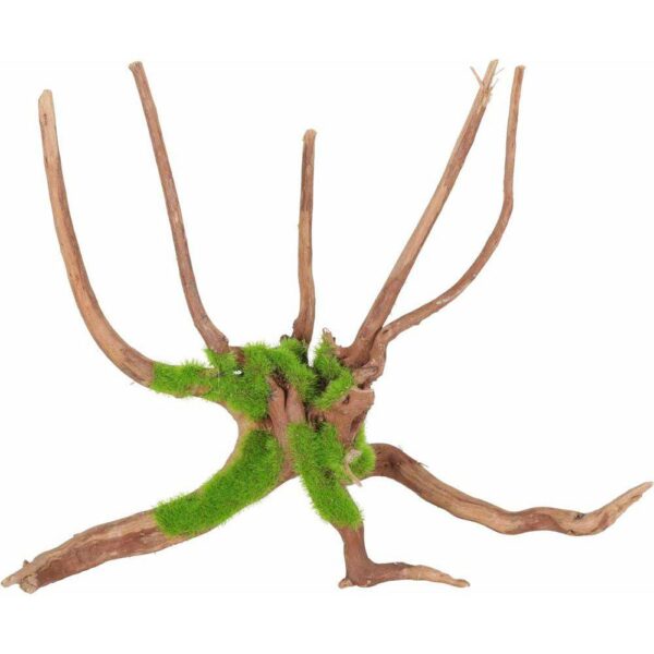 Akvariedekorasjon Kipouss Spider rot M m/levende plantefrø